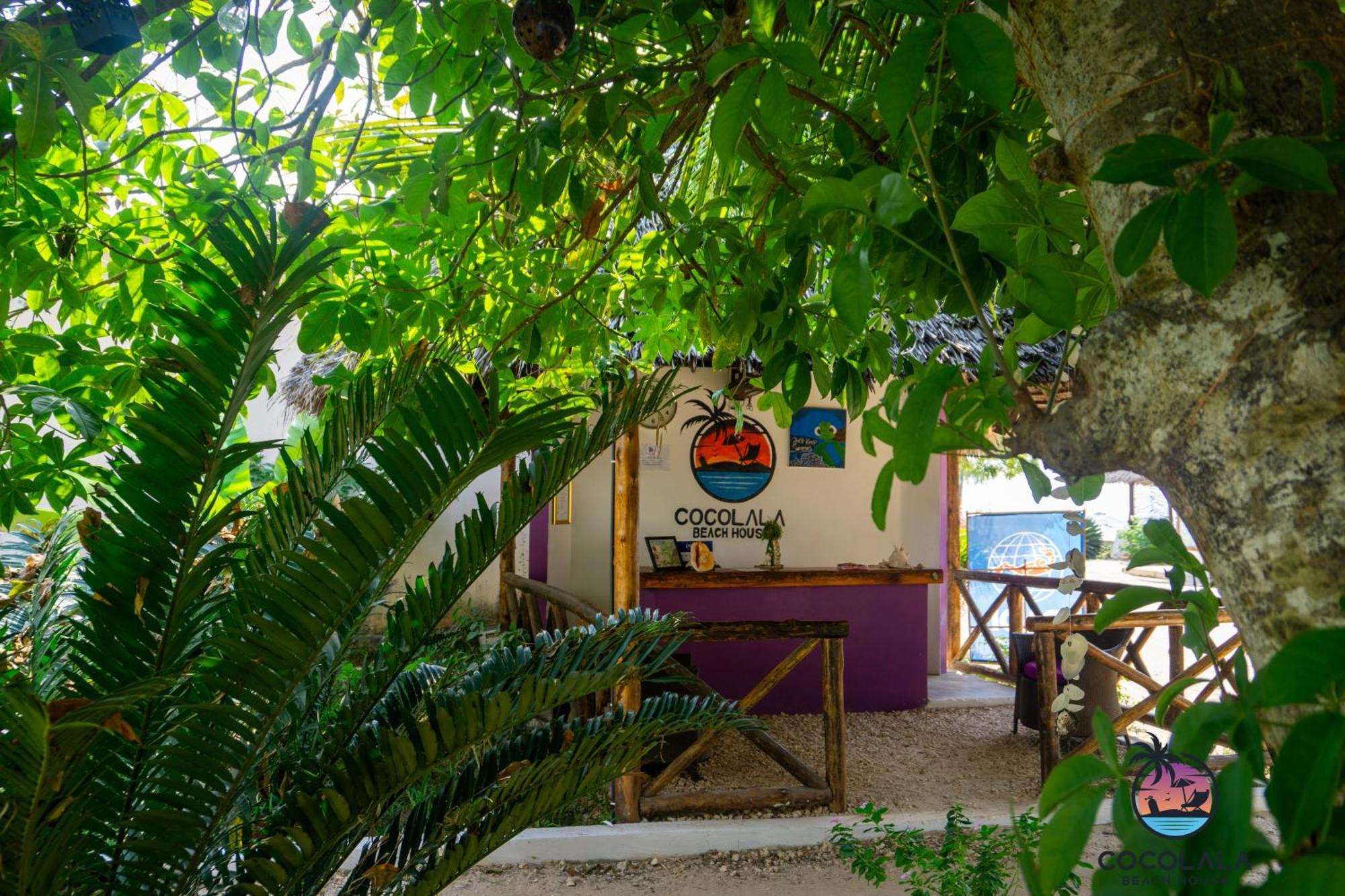 Cocolala Beach House Nungwi Εξωτερικό φωτογραφία